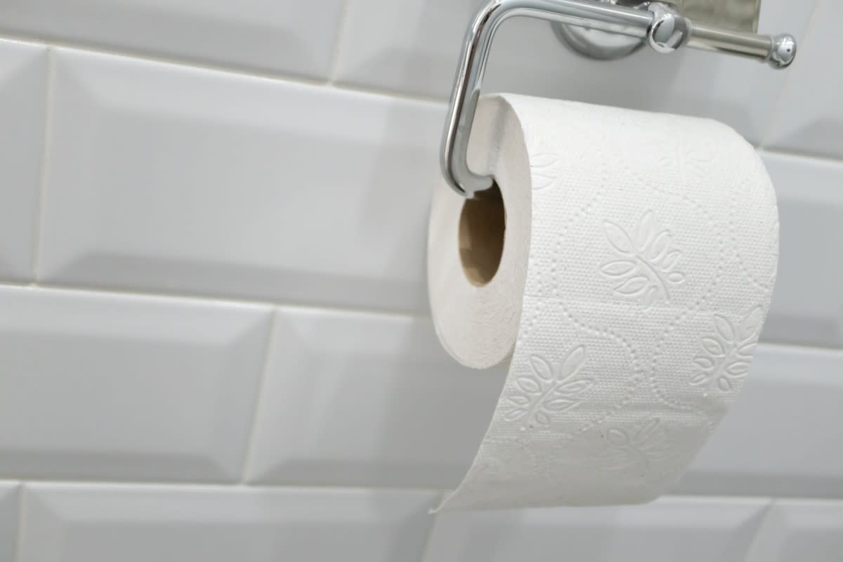 https://dengarden.com/.image/t_share/MjAwMjg3NjA4MjcyNTk0MDI4/recycled-toilet-paper-on-tile-background-bathroom-2023-07-22-02-30-41-utc.jpg