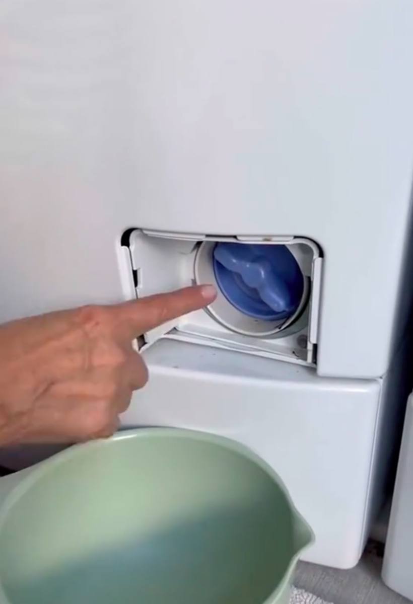 How to Clean and Sanitize Your Washing Machine Inside and Out - Dengarden