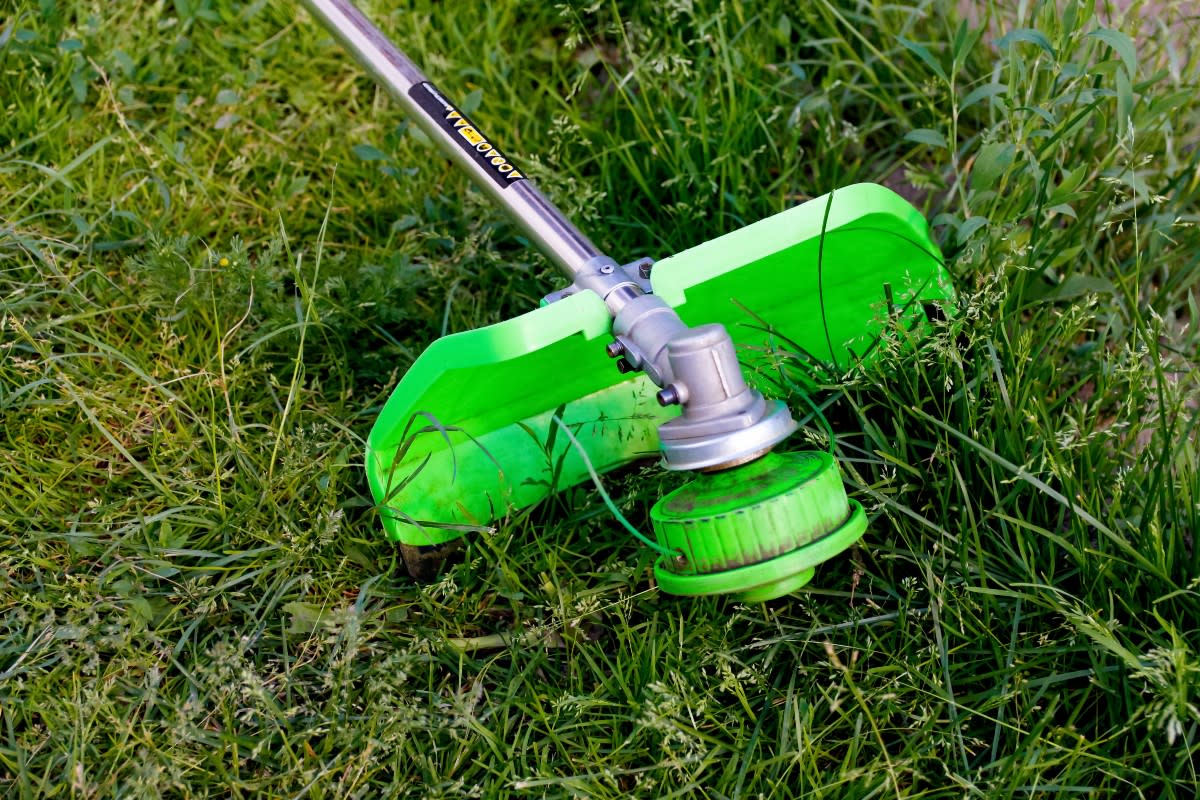 Man Comes Up With Brilliant Weed Whacker Hack for Breaking Down Leaves ...