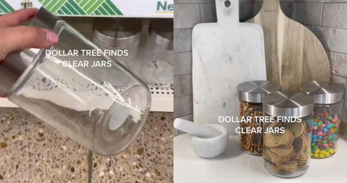 https://dengarden.com/.image/t_share/MjAyODk1NzkxNTg3NTk5NDI4/dollar-tree-stainless-still-top-glass-jars-diy-organization.png