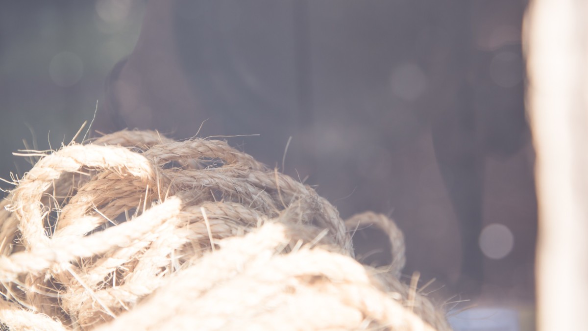 Here’s How to Cut a Rope Without Any Scissors Dengarden News