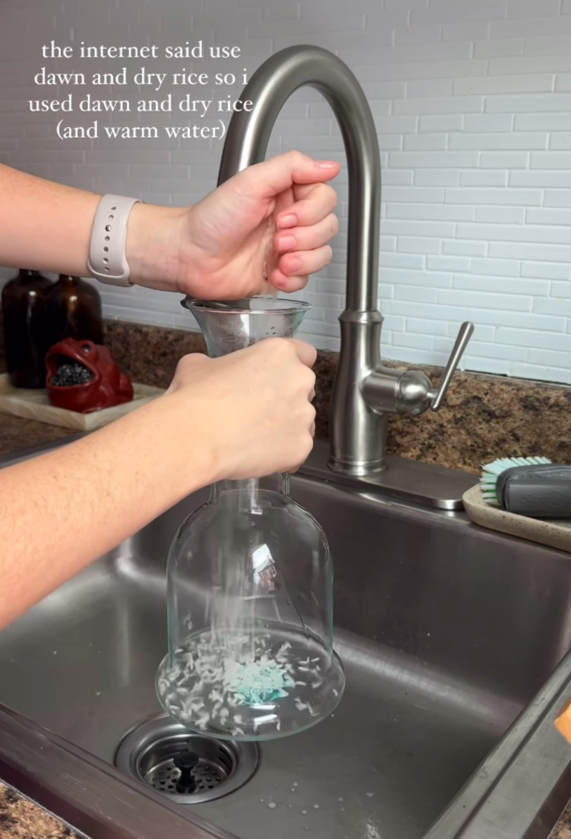 This Genius Rice Trick Fixes HardtoClean Bottles and Vases in a Flash Dengarden News