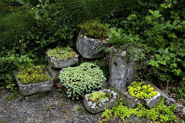 How Do You Make Hypertufa Planters: Easy Steps for Stunning Garden Decor