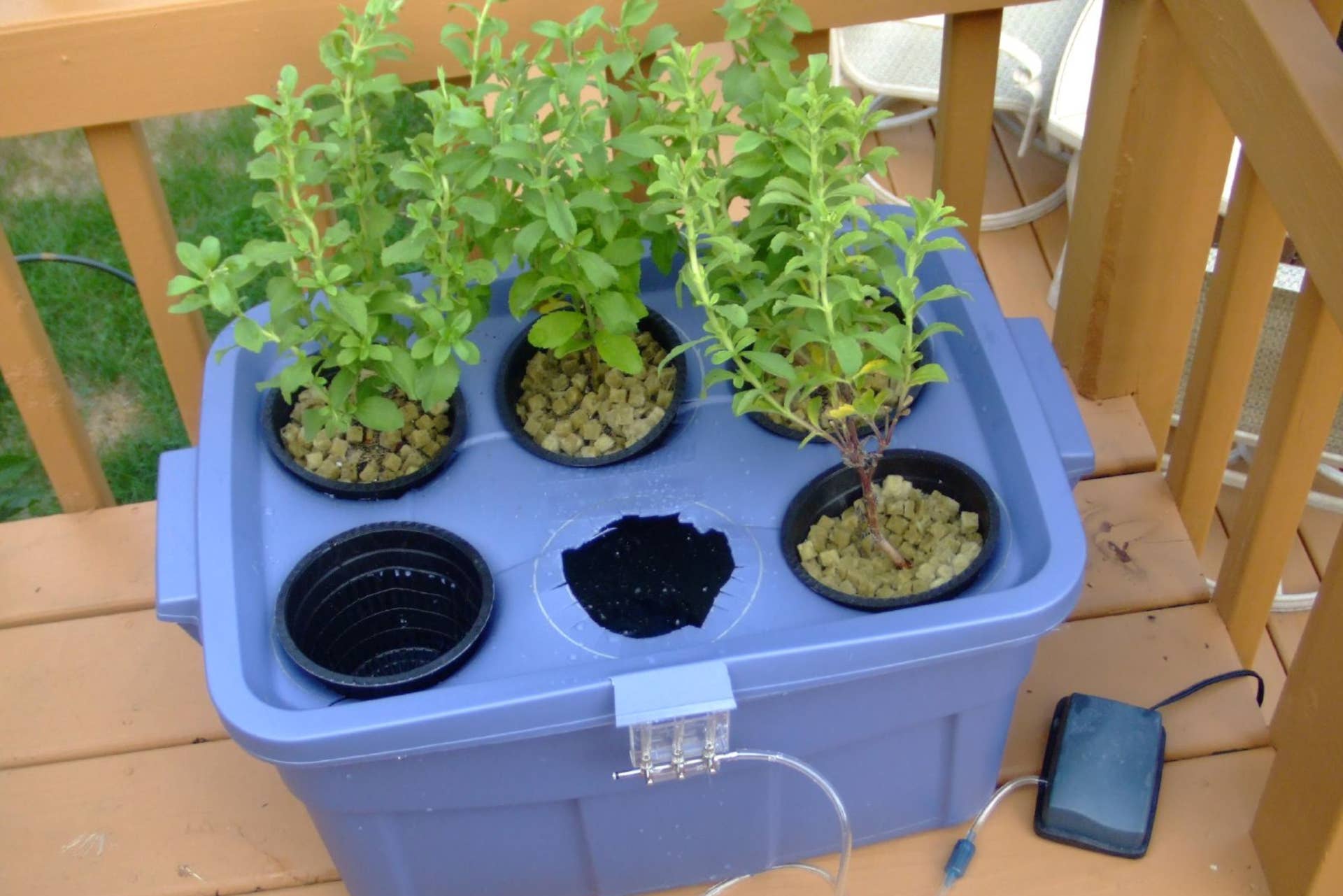 How to Build an Indoor Drio Hydroponic Garden: Step-by-Step Guide