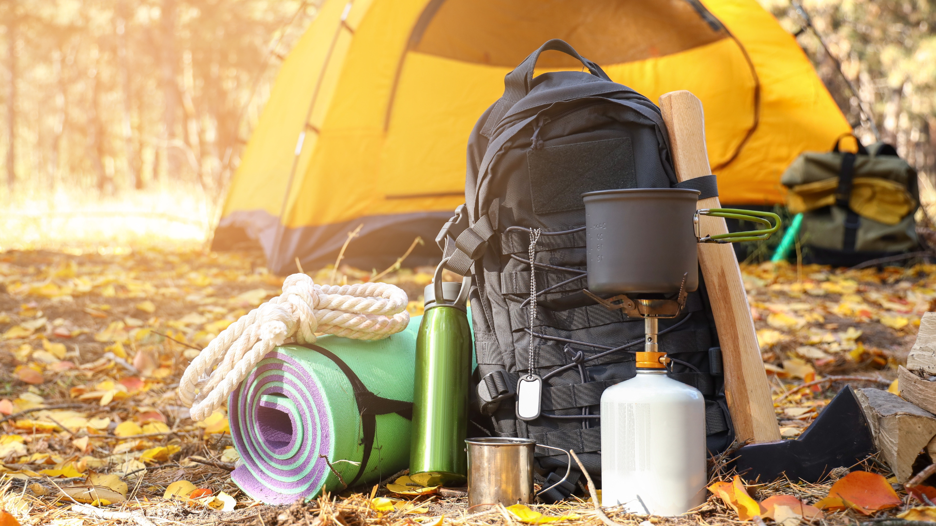When Does Aldi Have Camping Gear: Ultimate Guide to Seasonal Deals