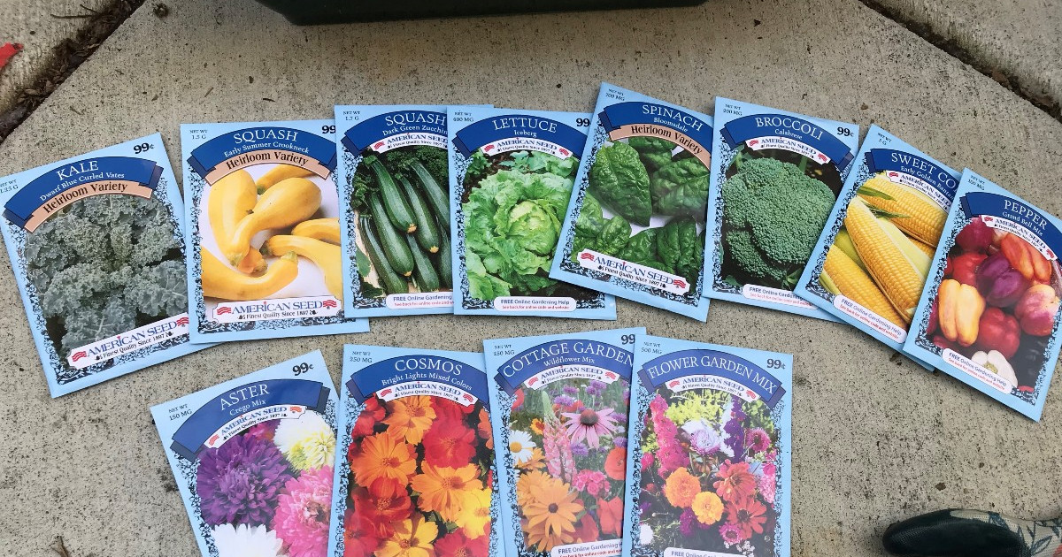 Does Dollar Tree Sell Bird Seed: Affordable Options for Gardeners