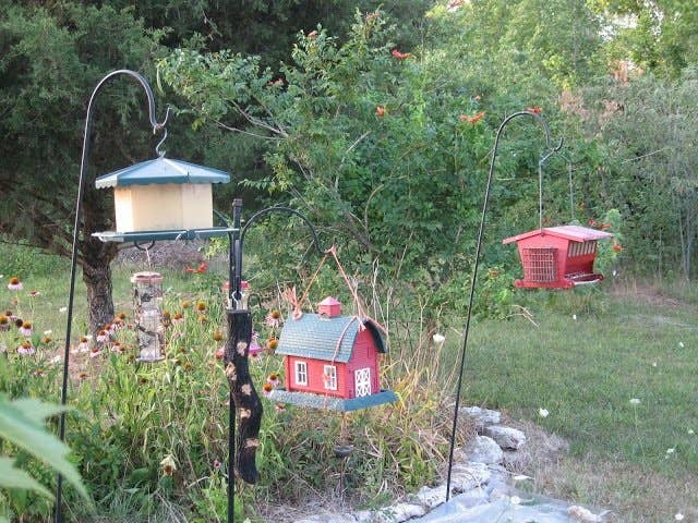 How to Keep Bird Seed off the Ground 