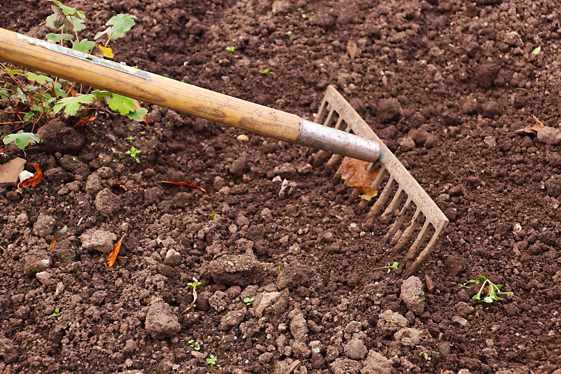 Can I Test Soil at Home Without a Kit: Easy DIY Methods Revealed