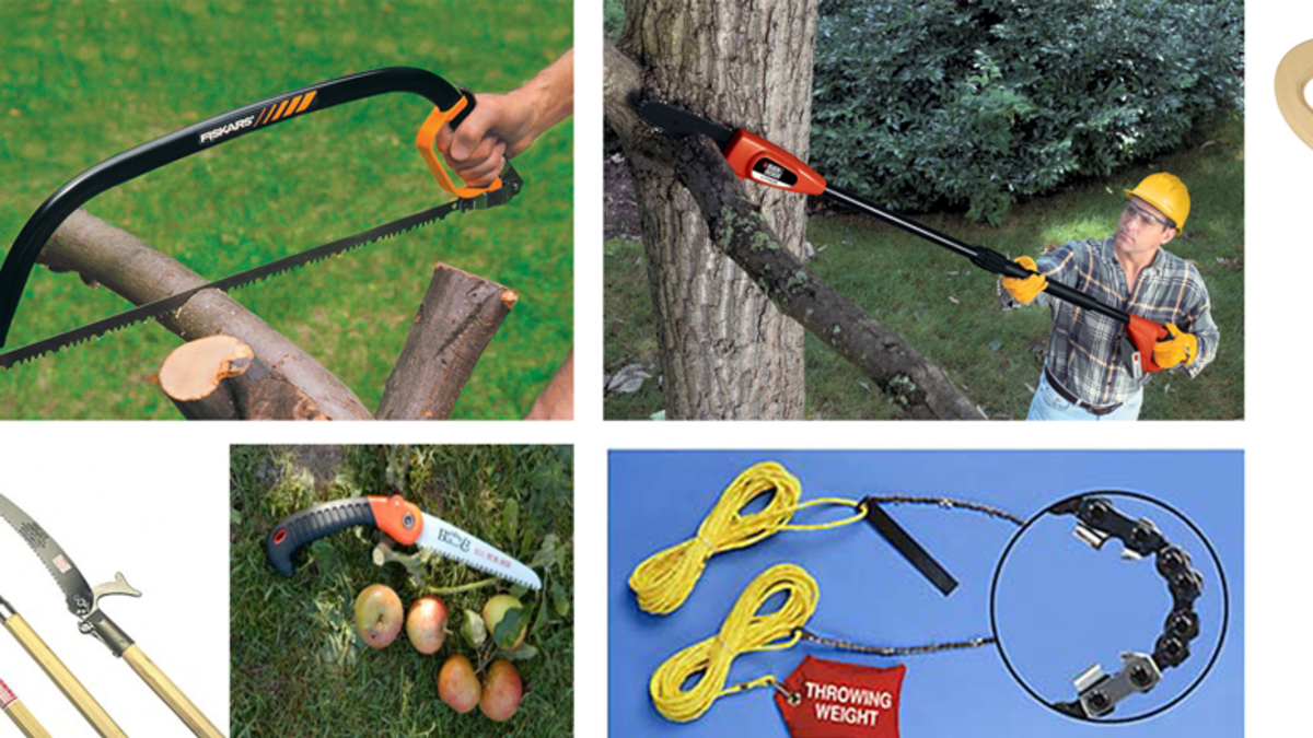 What is a Pole Saw Used for: Ultimate Guide