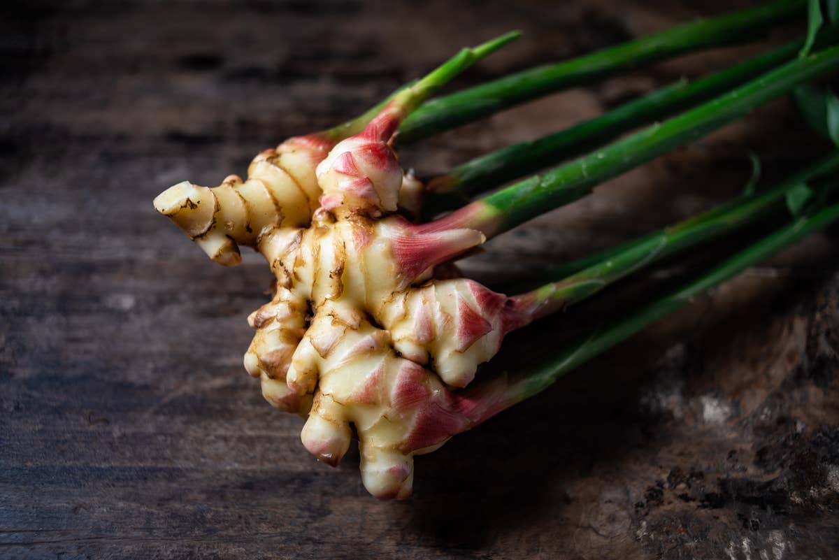 How to Regrow Ginger from Kitchen Scraps: Easy Steps to Grow Fast