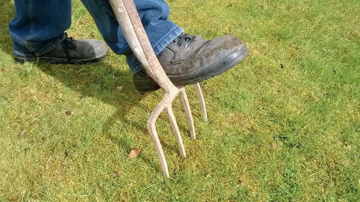 How to Aerate Clay Soil With a Fork: Simple Steps for Healthier Roots