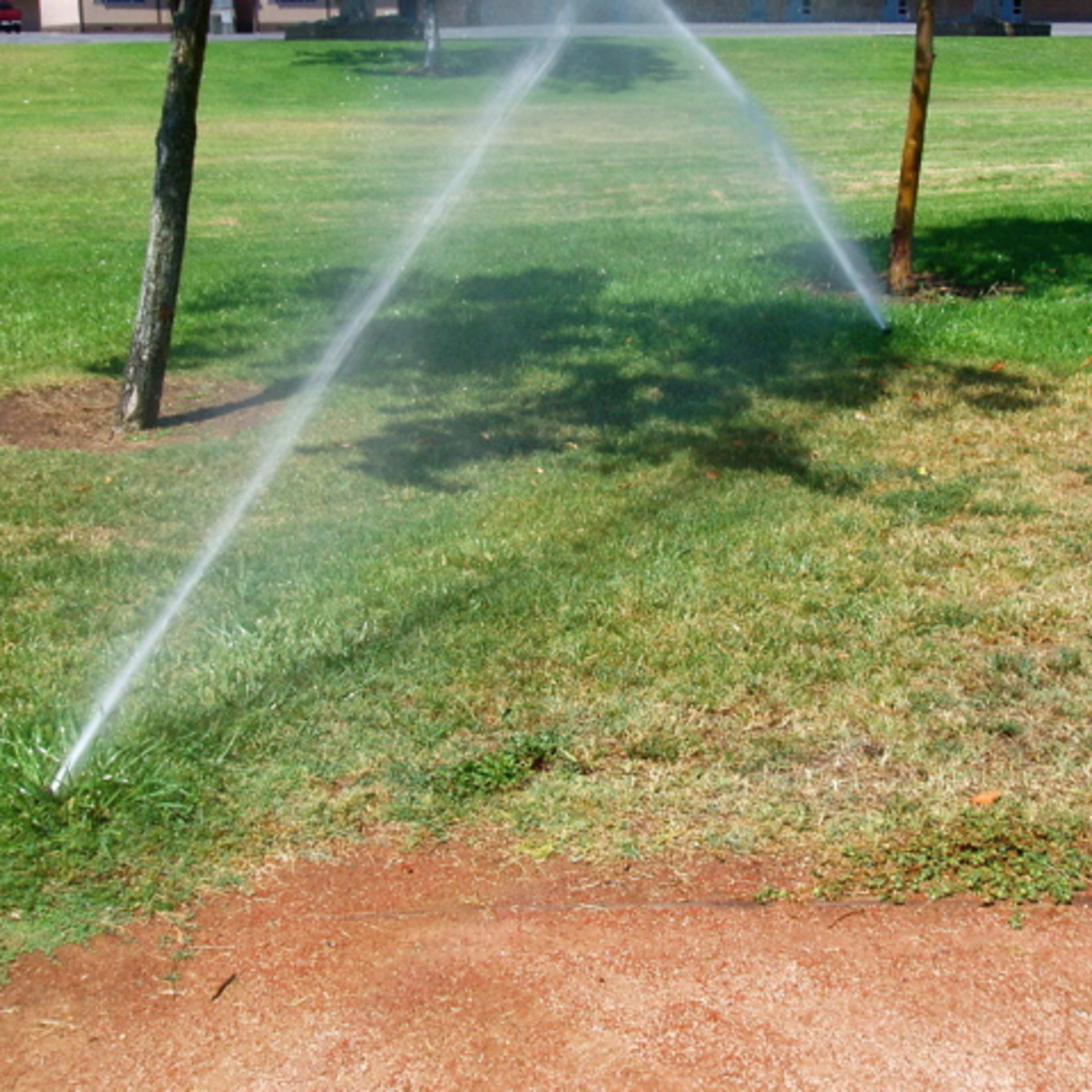 Brown Spots Taking Over Your Lawn? Here's How to Fix It Fast