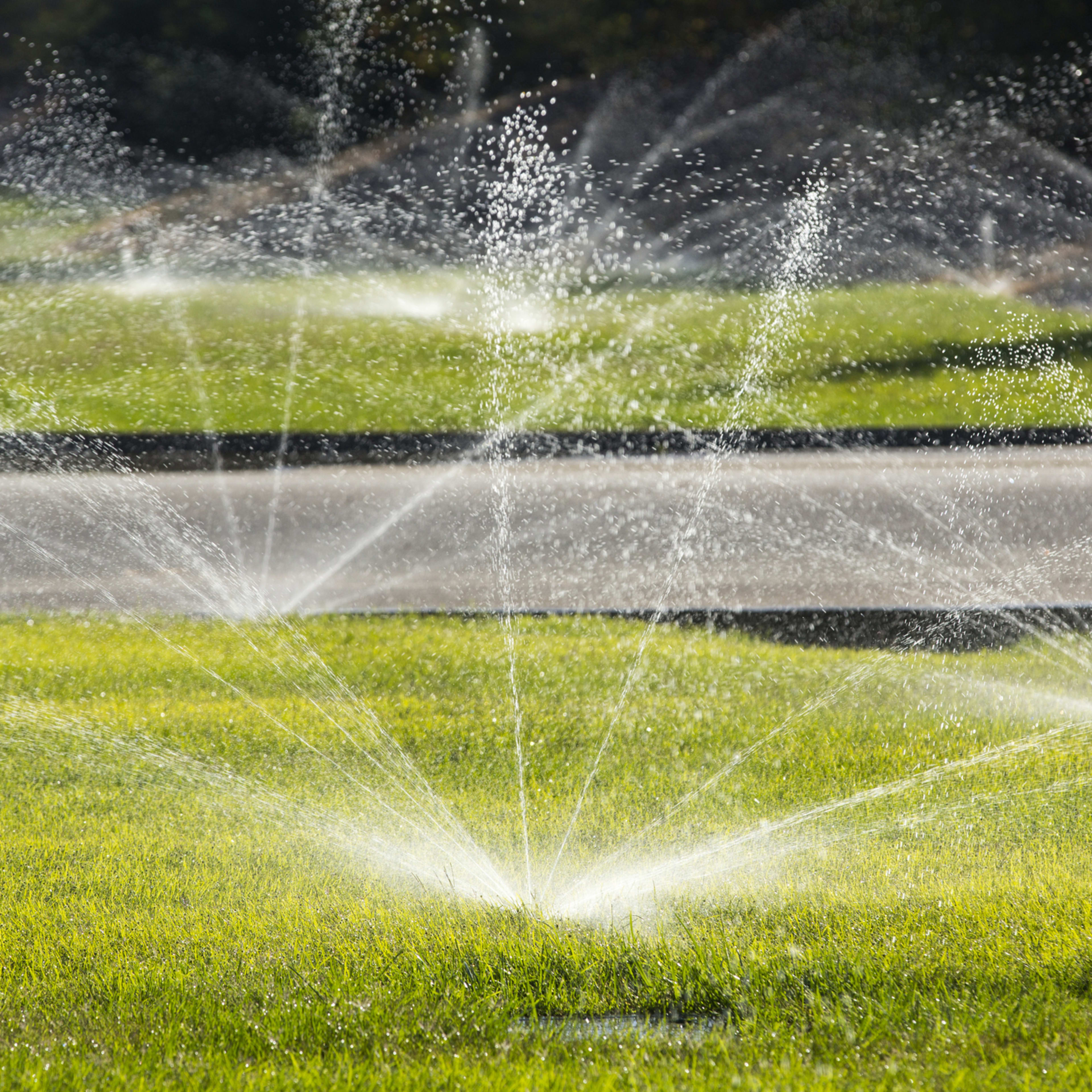 You’re Probably Watering Your Lawn Wrong—Here’s the Schedule Experts Actually Use