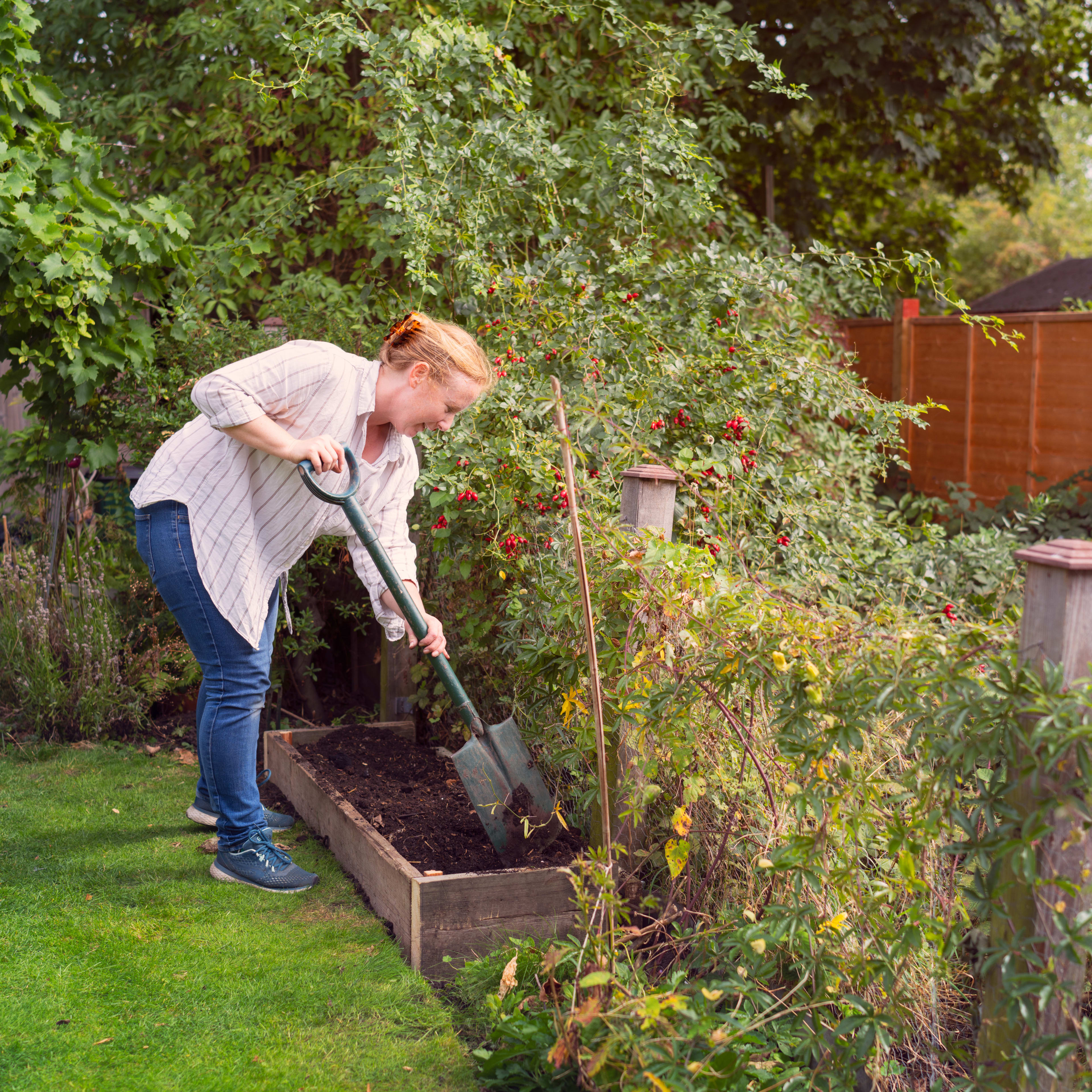 Fall Gardening Tasks: A Complete list of Garden Chores to Tackle in Fall
