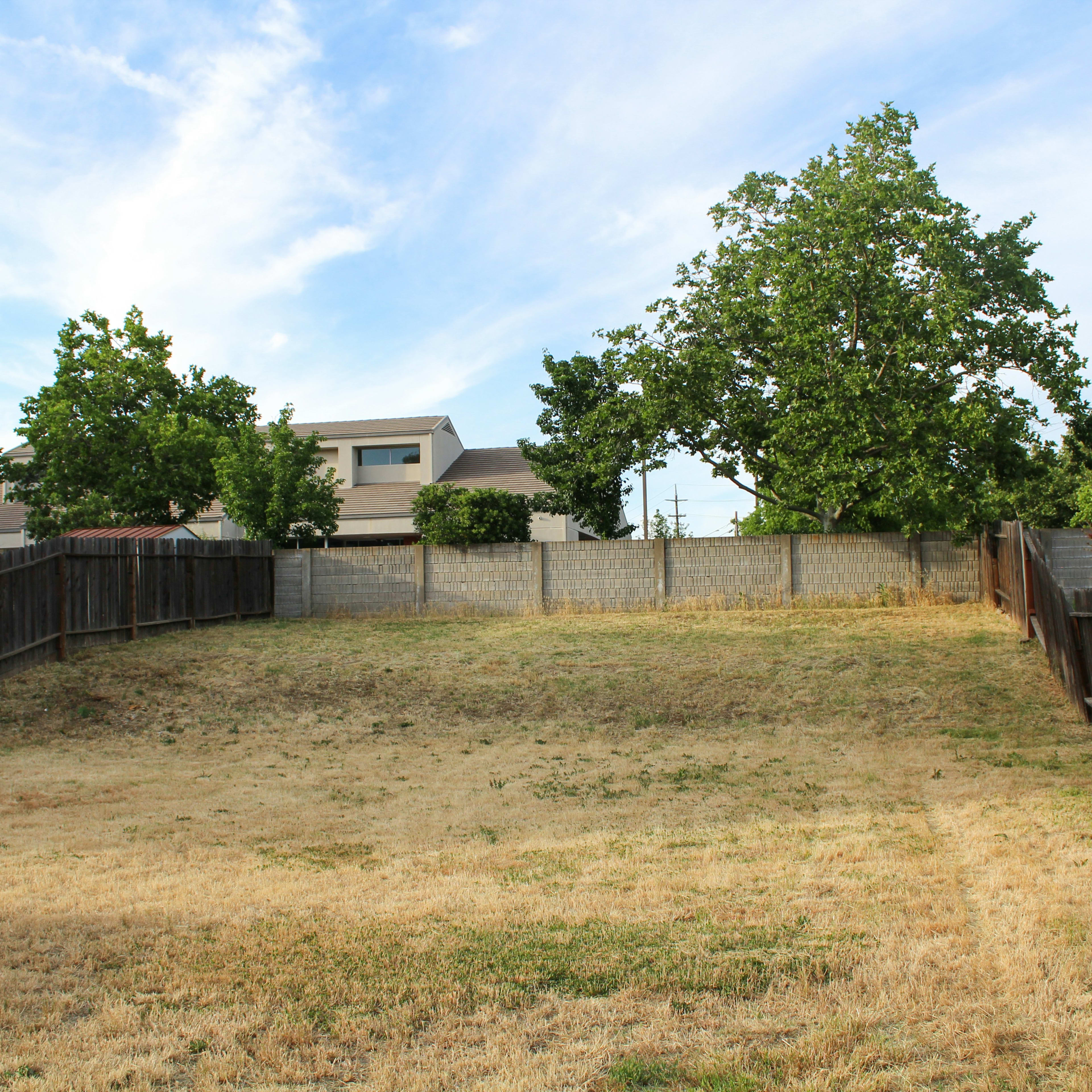 Why Is My Lawn Turning Yellow? 6 Common Causes and How to Fix Them