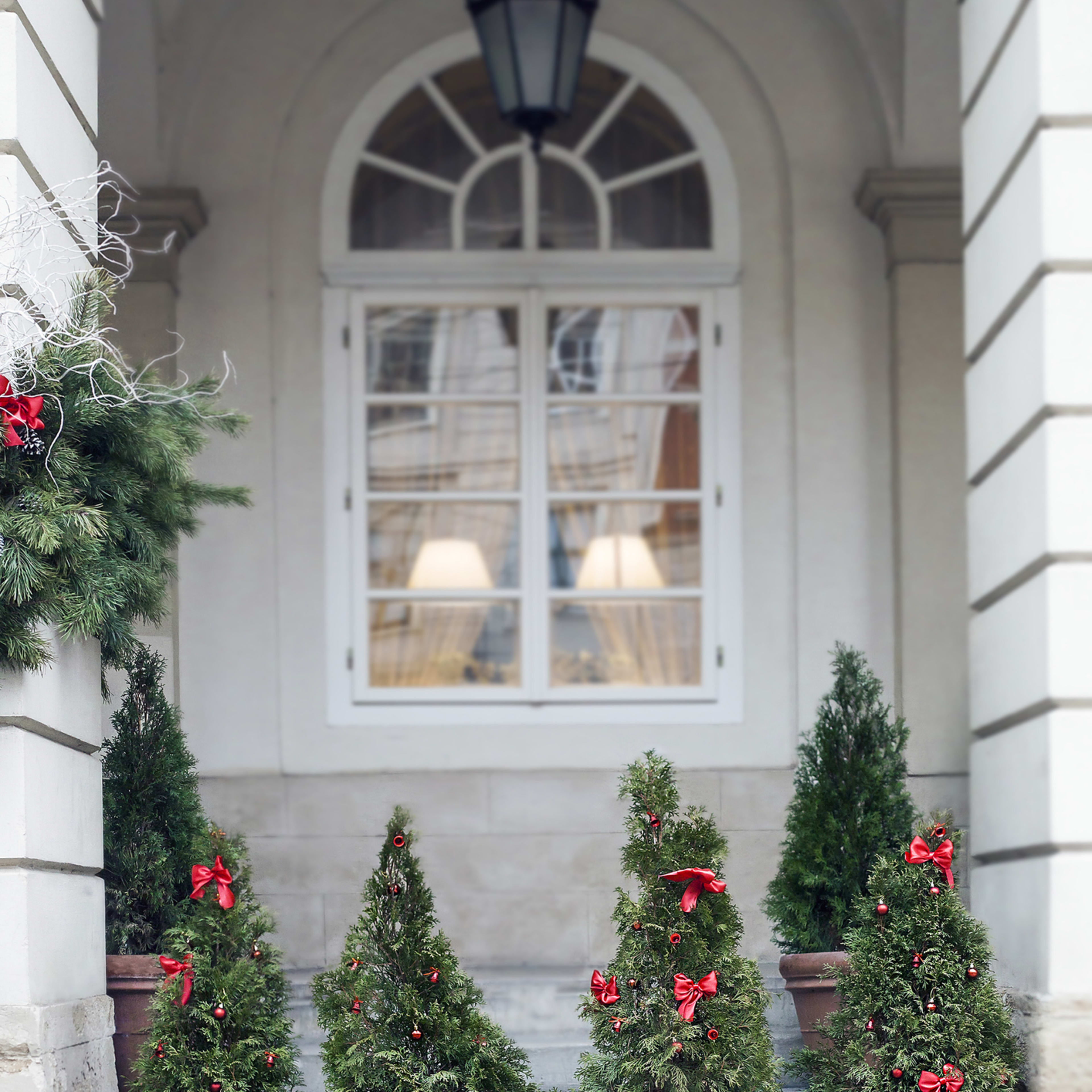 18 Winter Planter Ideas To Add Life to Your Outdoor Space all Year Round