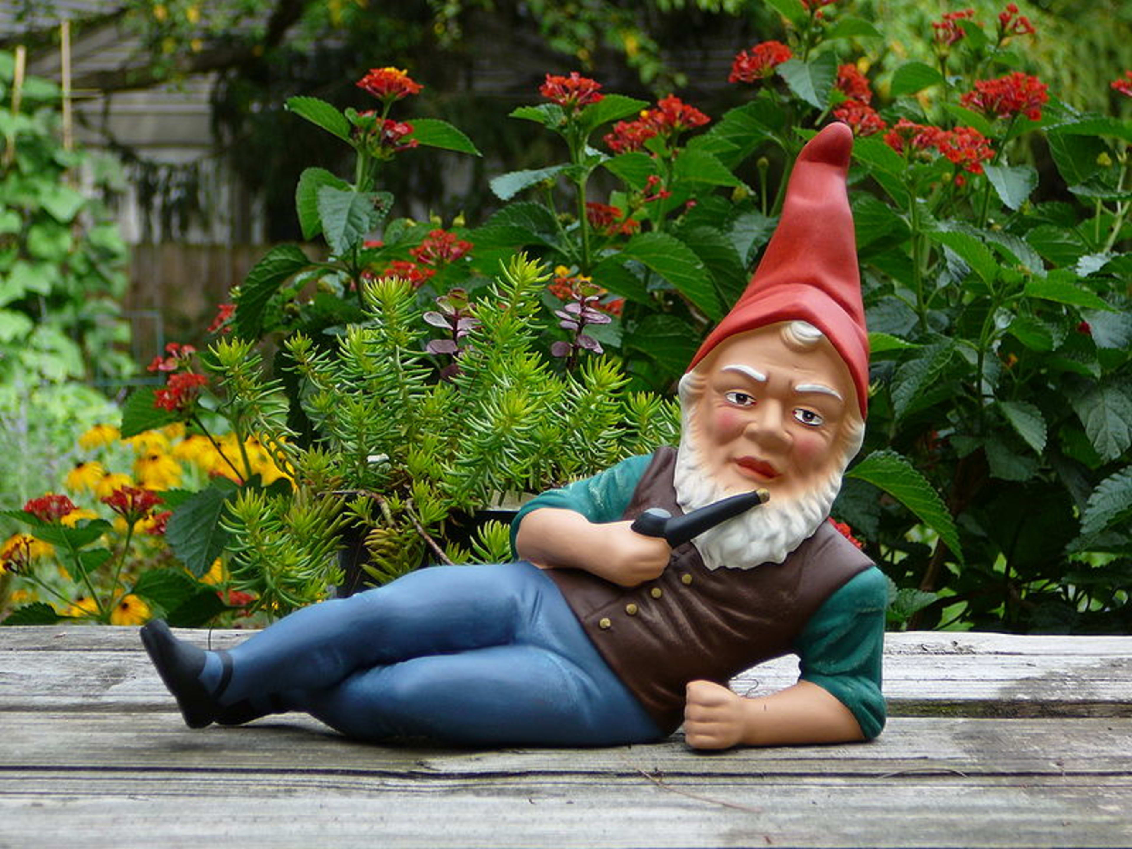 The History of the Garden Gnome