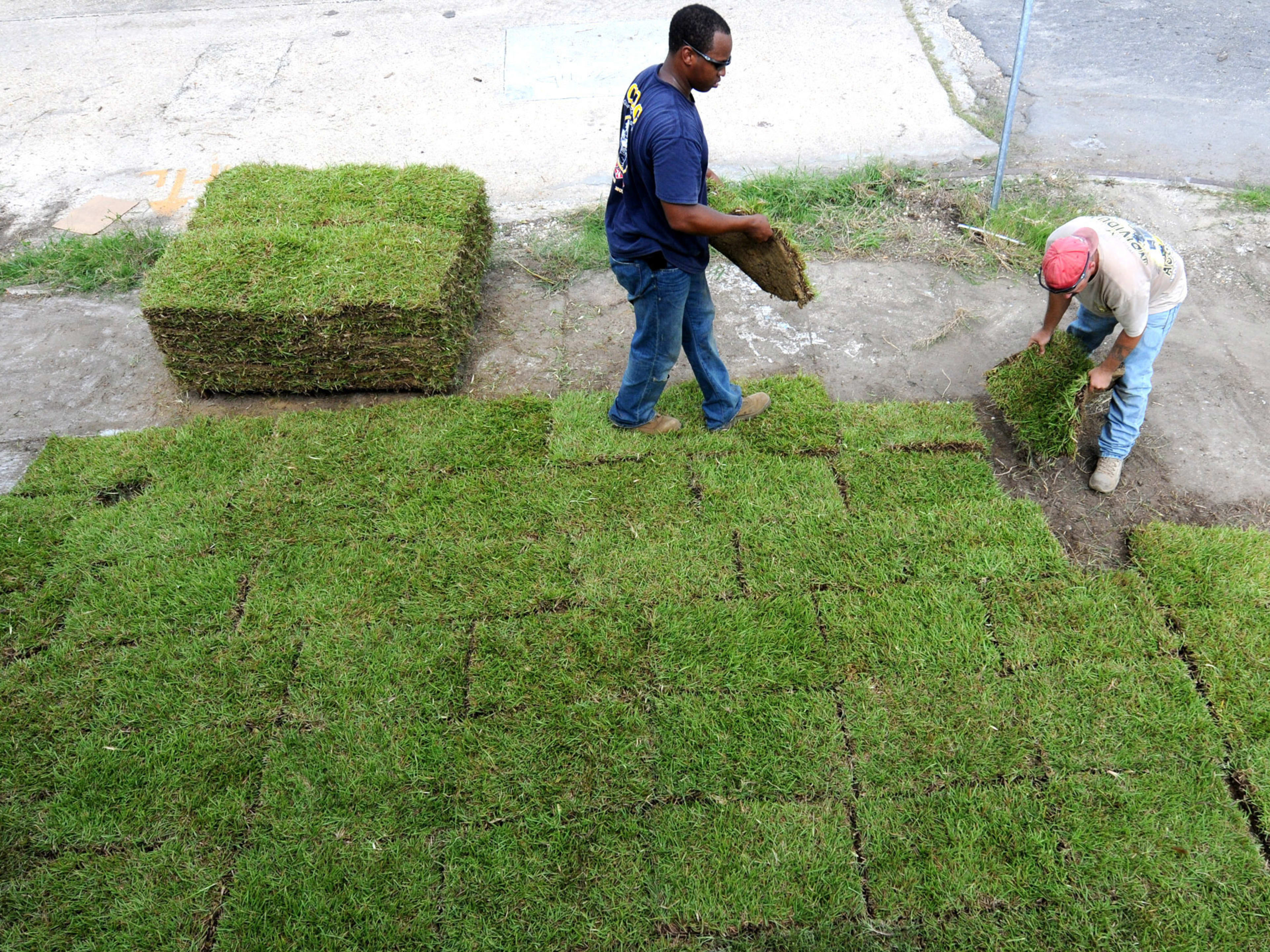 Laying a lawn hotsell
