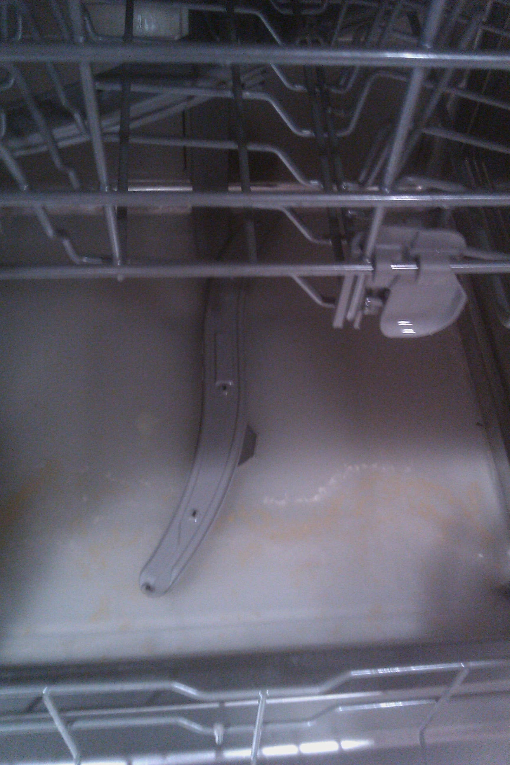Why Is My Bosch Dishwasher Not Draining and How to Fix It
