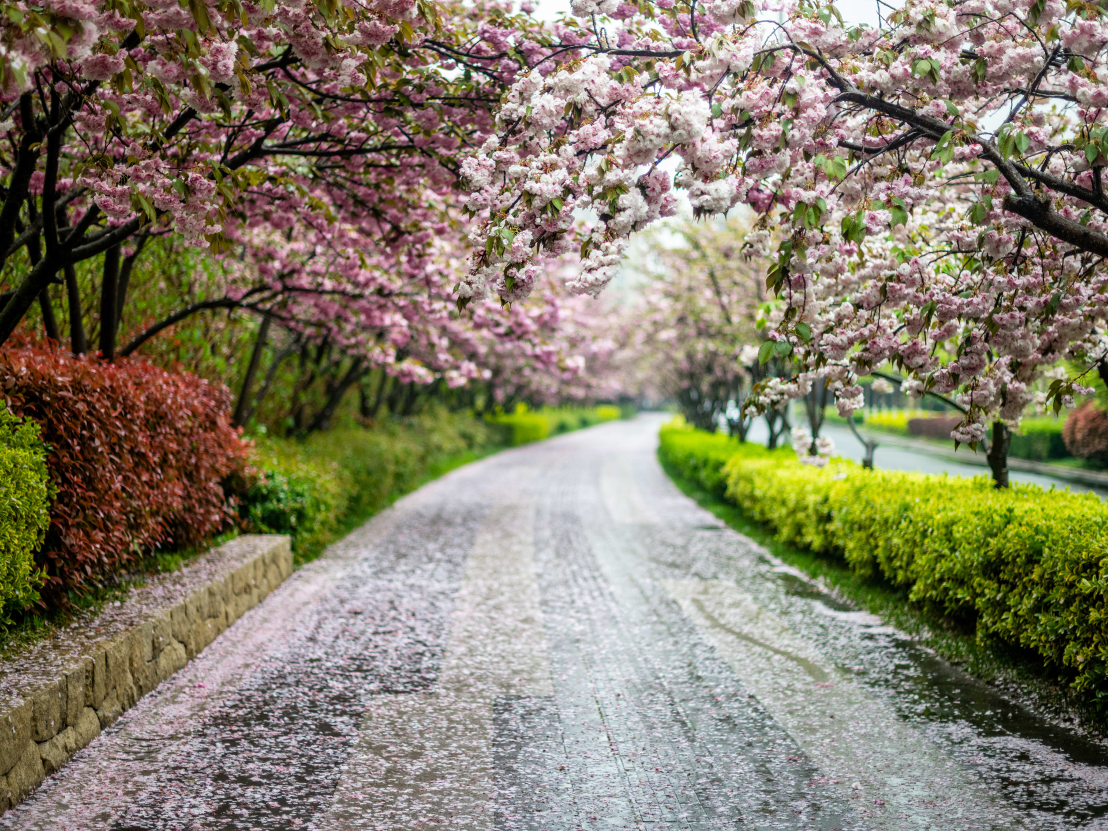 8 Spring 2025 Weather Predictions from the Farmer's Almanac