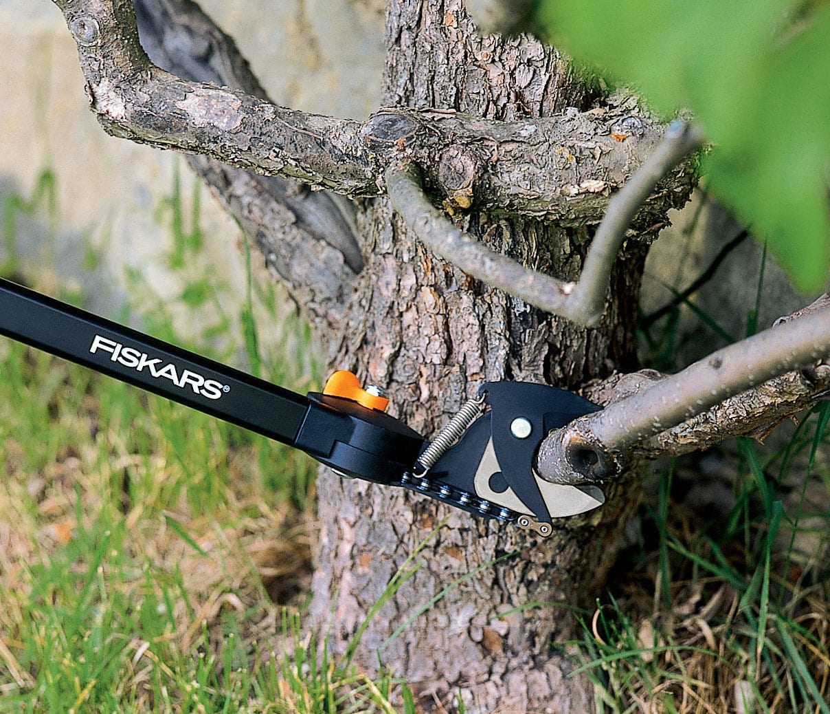 The 10 Best Manual Pole Pruners and Loppers for Tree Trimming