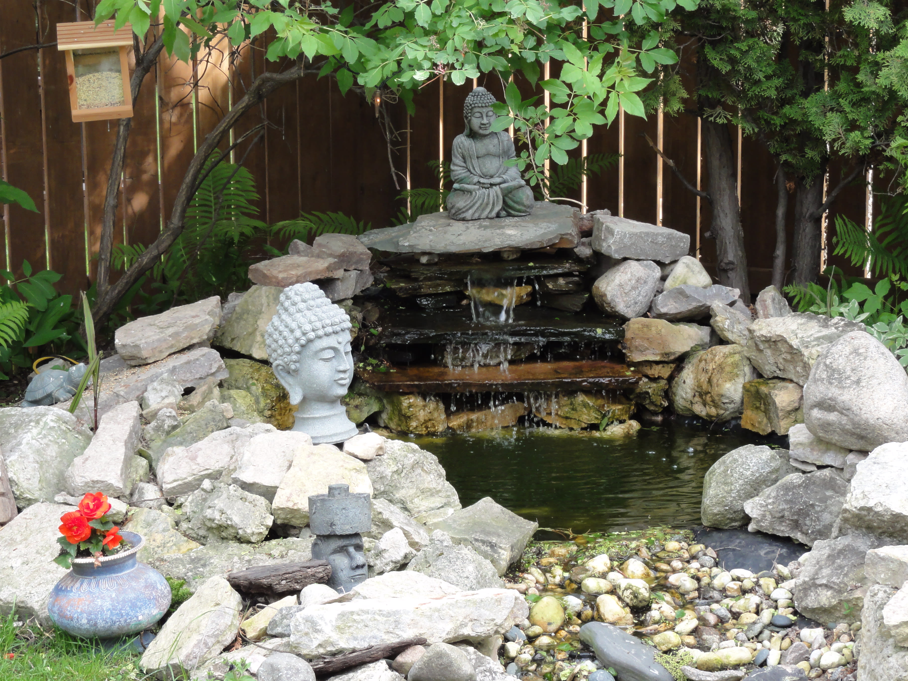 How to Build a Waterfall Meditation Pond for Your Backyard Paradise -  Dengarden, image size:3648x2736