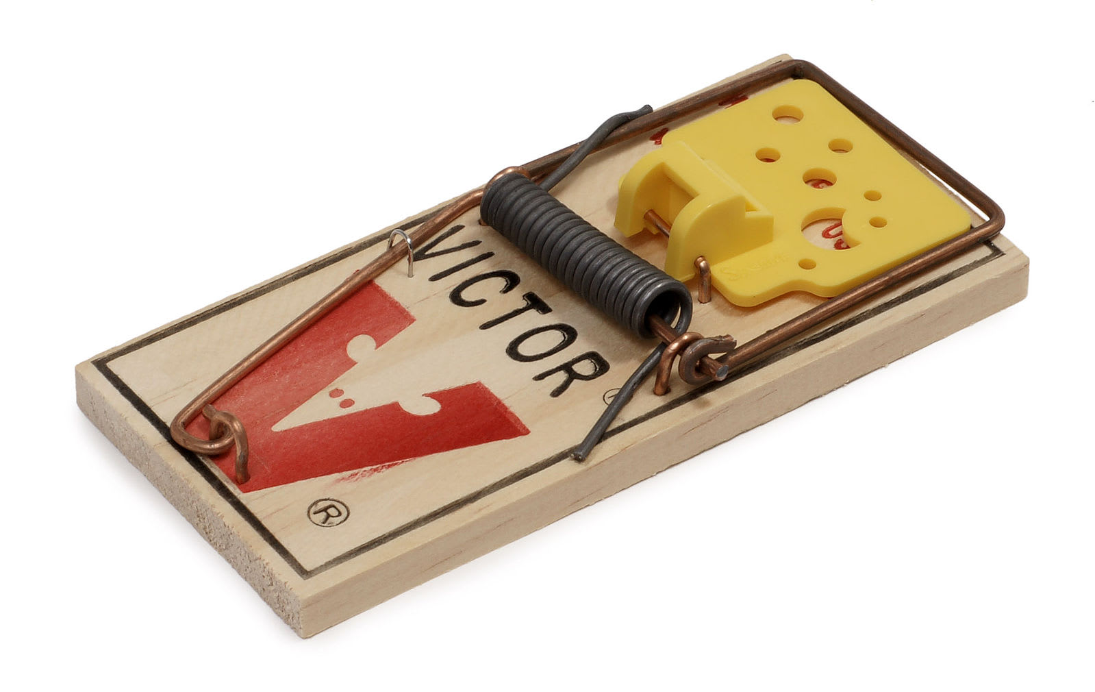 The Best Kid Safe and Pet Friendly Mousetraps