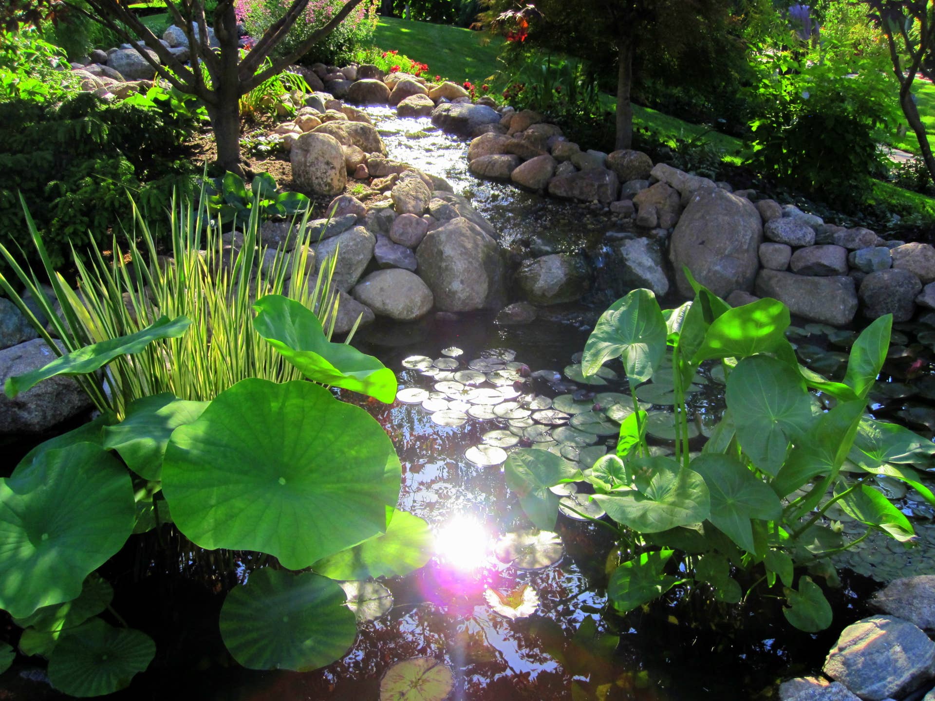Better Homes Gardens Garden Design The Birthplace Of Better Homes