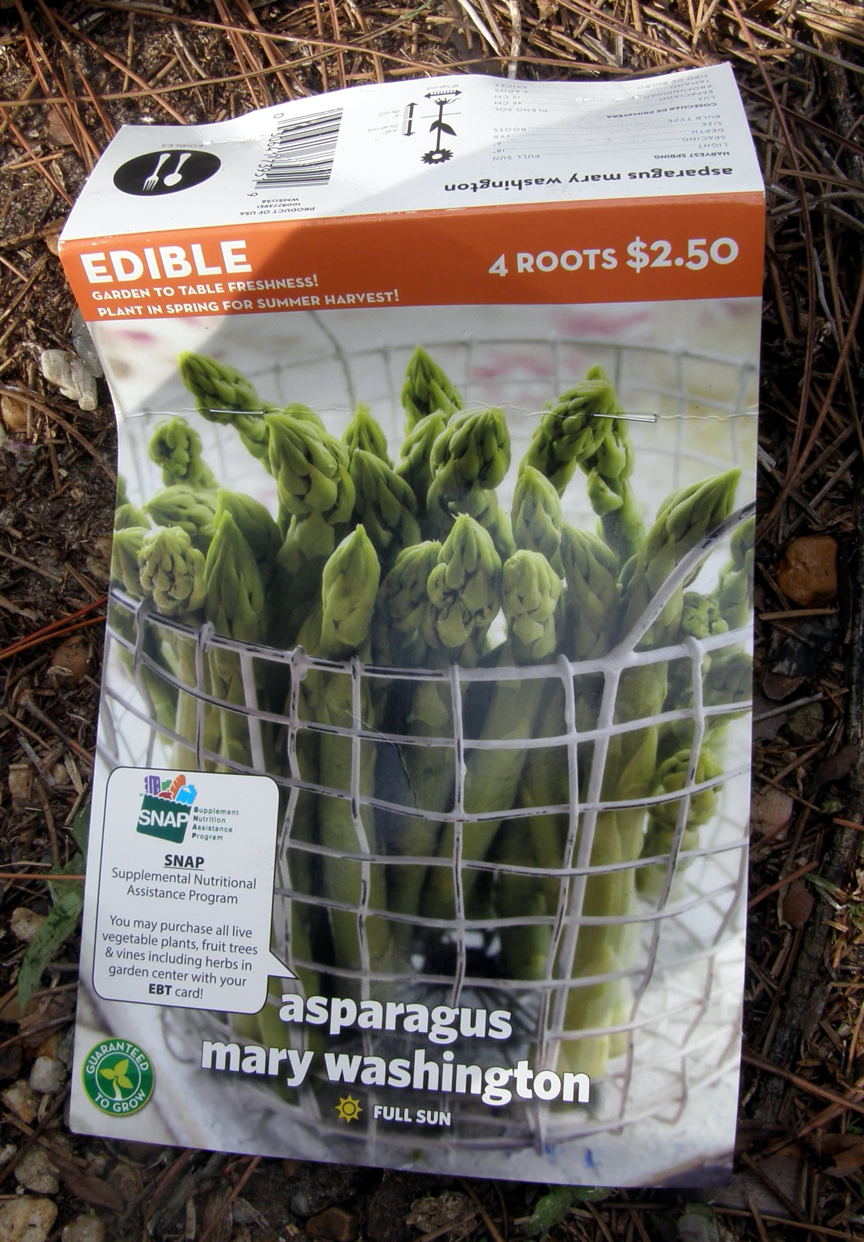 How to Plant TwoYearOld Asparagus Crowns in Containers