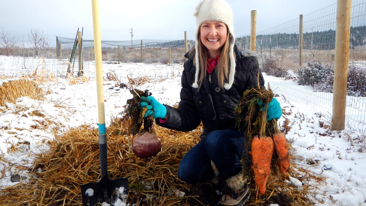 How to Overwinter Garden Carrots in the Ground - Dengarden