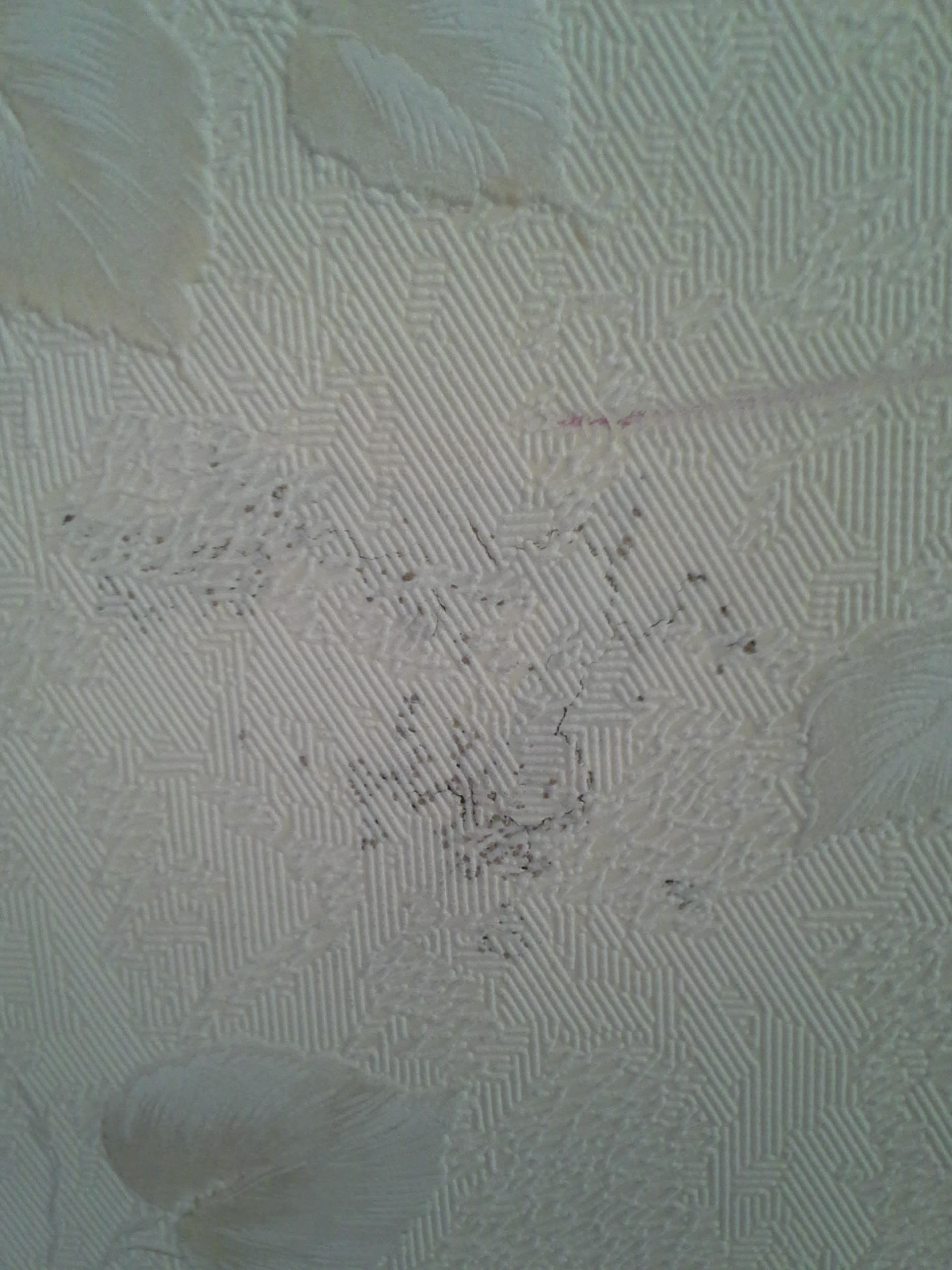 Tips and Tricks for Termite Control - Dengarden, image size:1920x2560