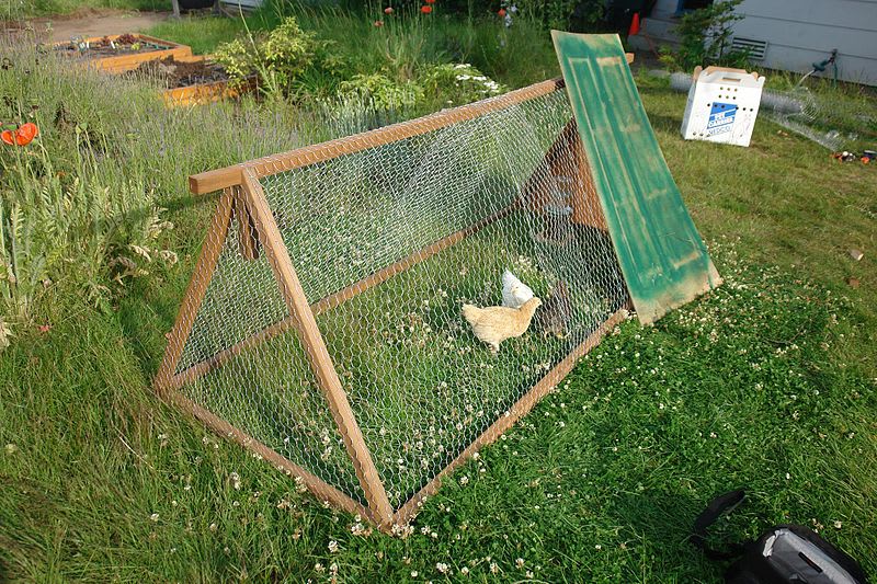 Chicken Brooder Easy Free Diy Chicken Brooder Plans Easy Plans For A