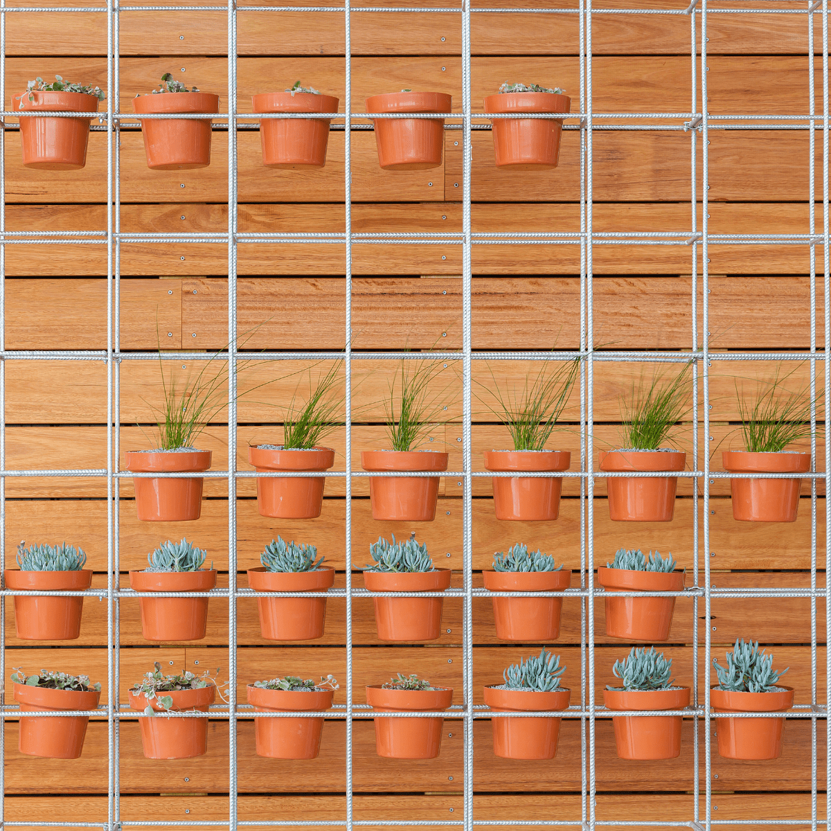 Vertical garden ideas for even the smallest of spaces - Dengarden, image size:1200x1200