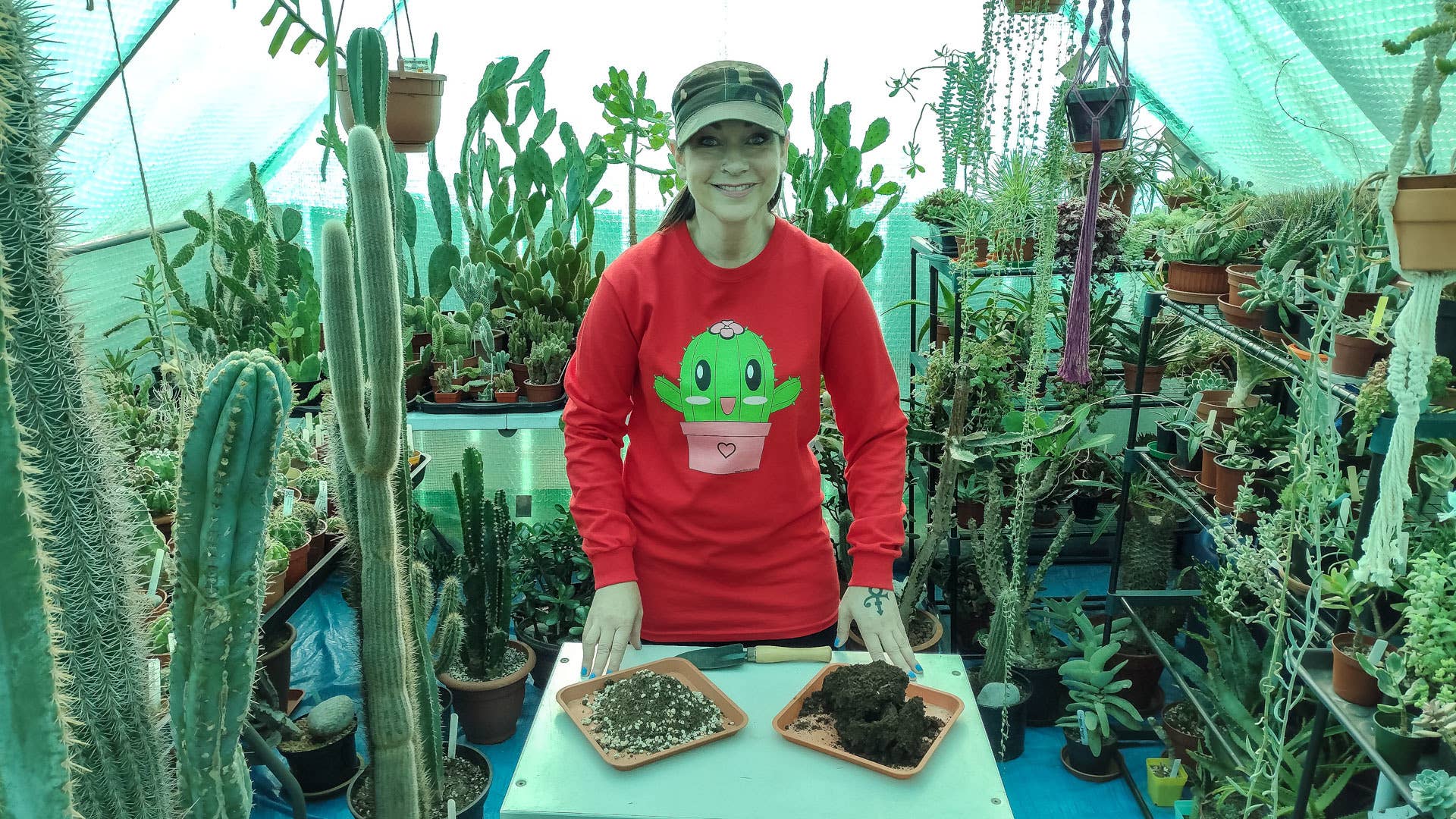 How Cacti and Succulent Soil Is Different From Ordinary Potting Soil ...