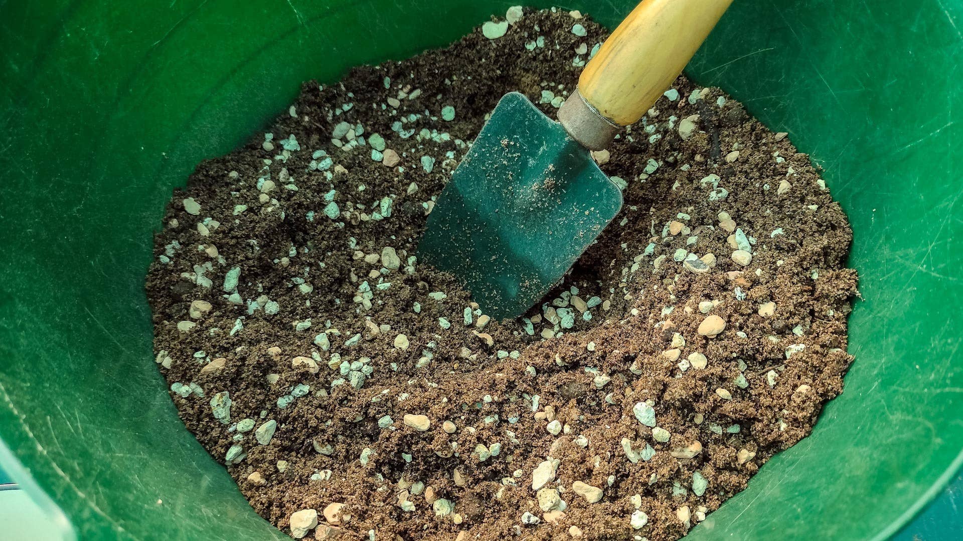 How to Make Cactus and Succulent Soil Mix - Dengarden