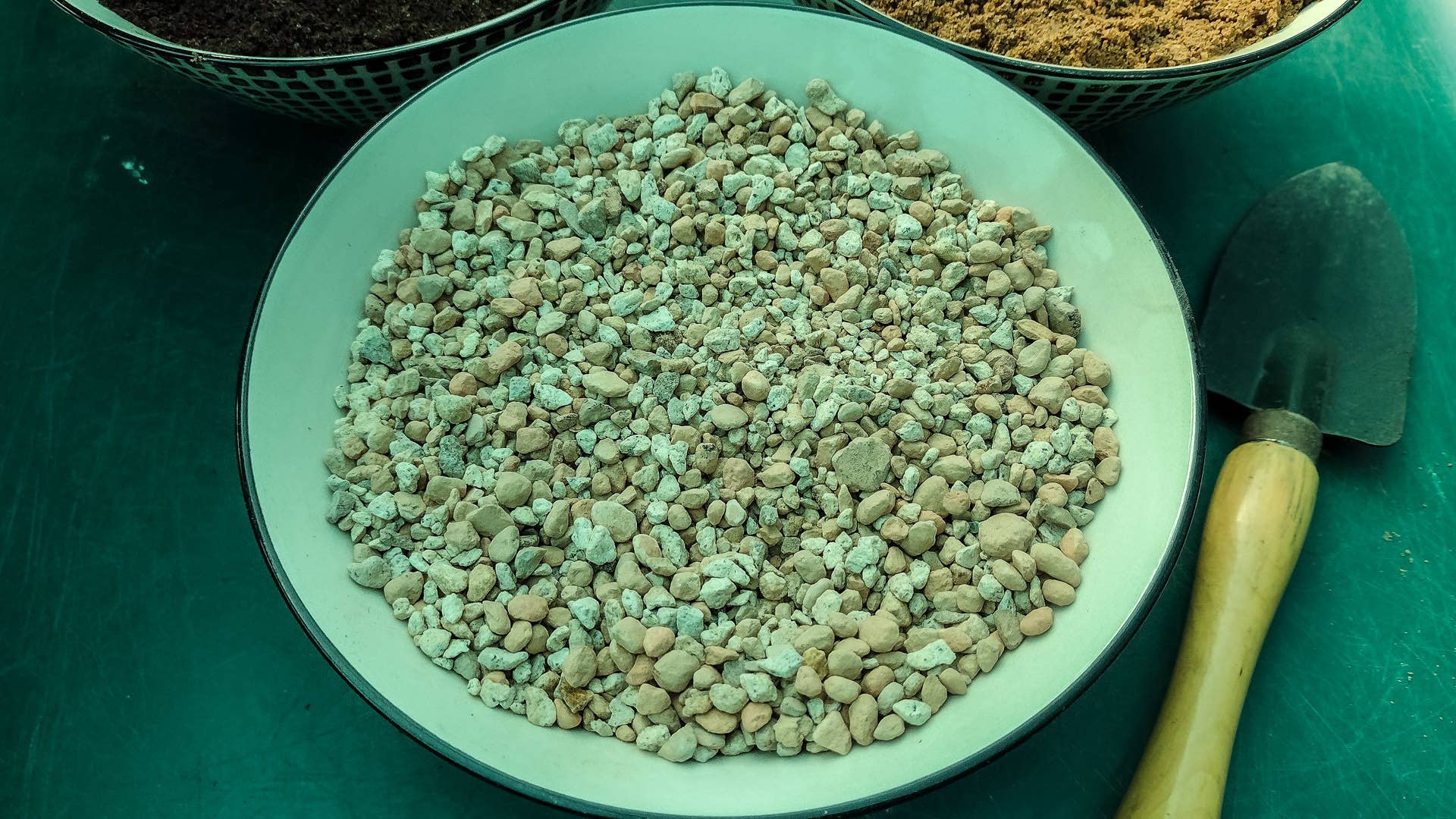 How to Make Cactus and Succulent Soil Mix - Dengarden