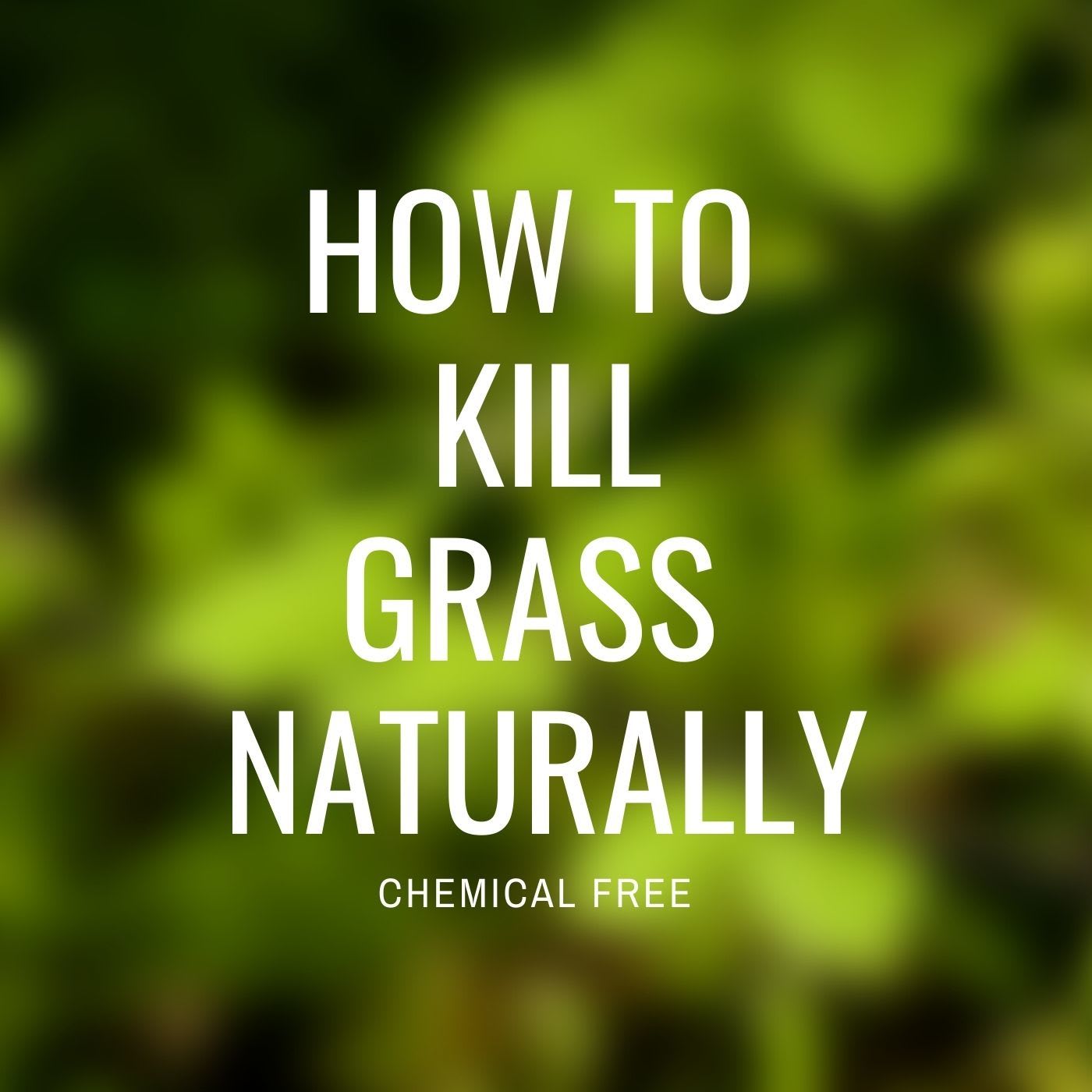 How to Kill Grass Naturally