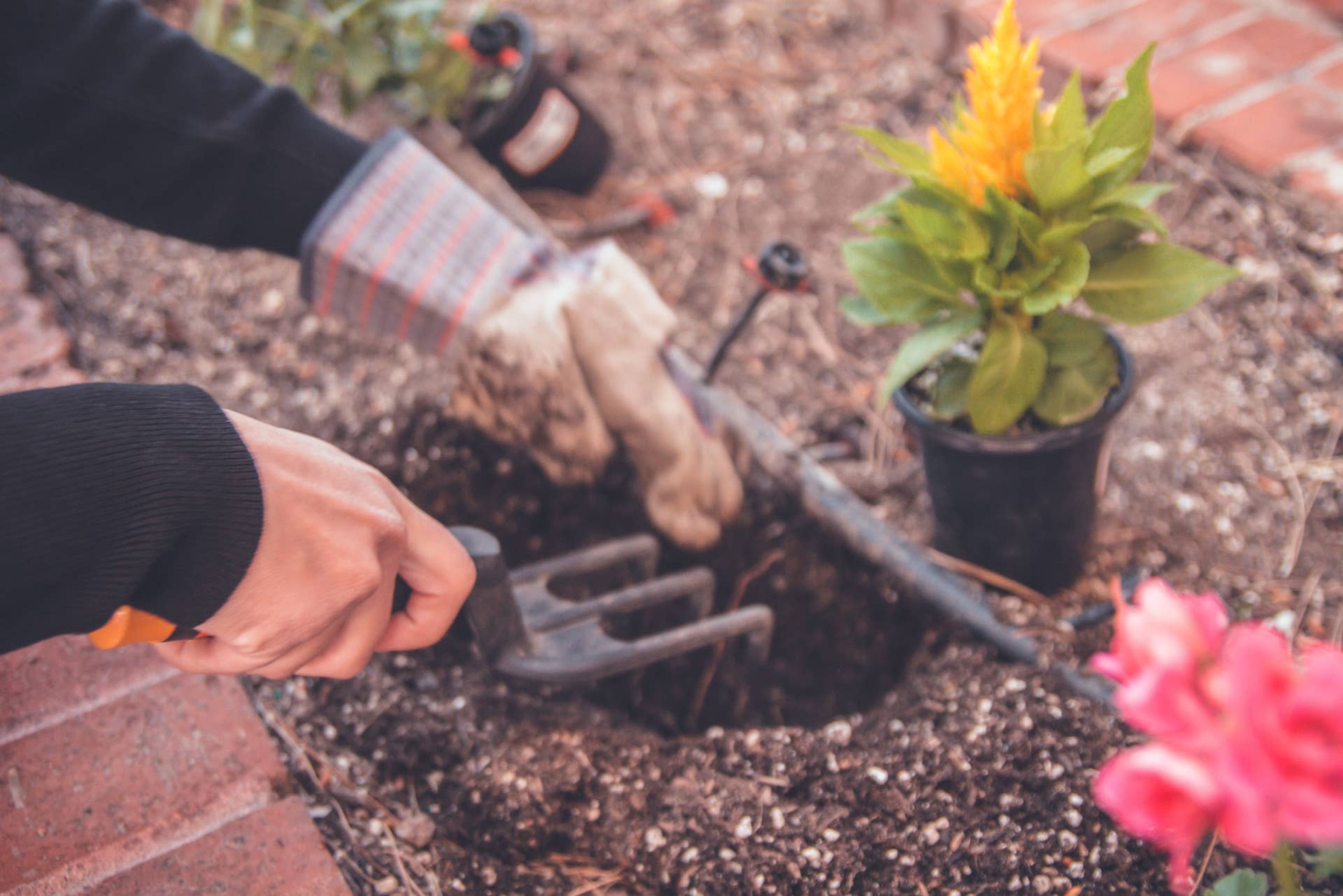 Landscaping Dengarden Landscaping dengarden