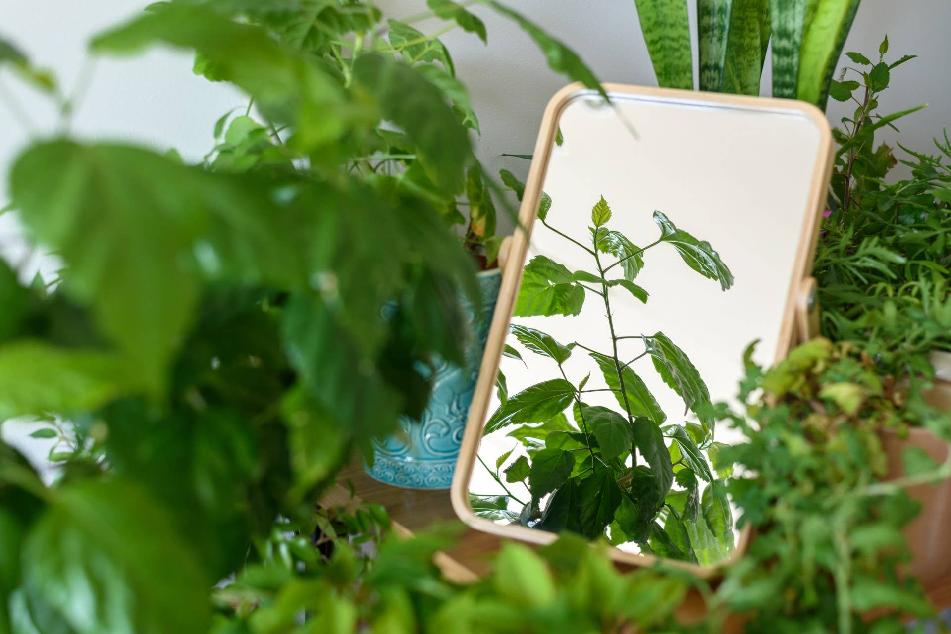 DIY Plant Grow Stand Is Easy and Renter Friendly - Dengarden