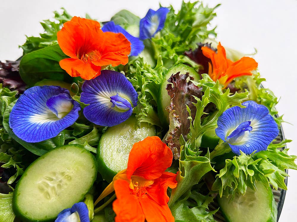 Edible Flowers For Humans