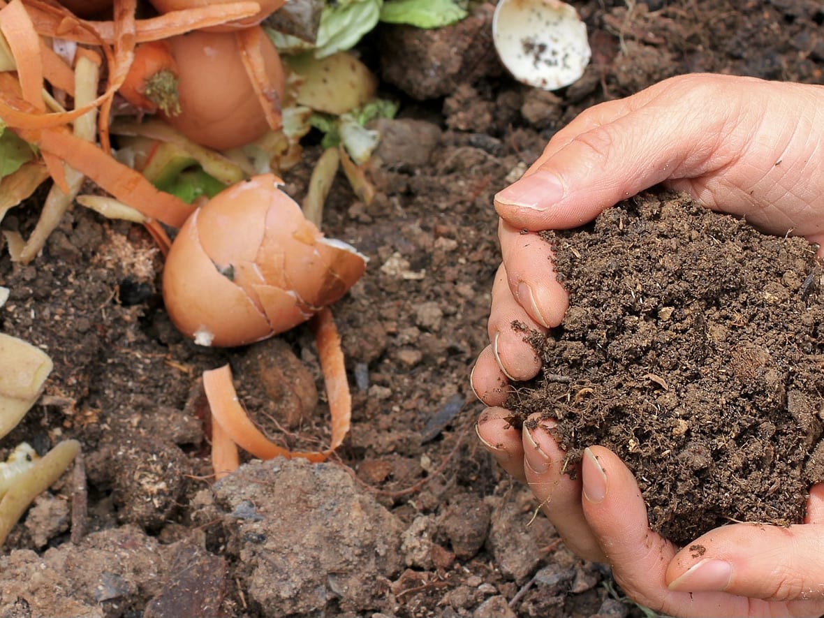Can You Fertilize Grass in Winter? Here