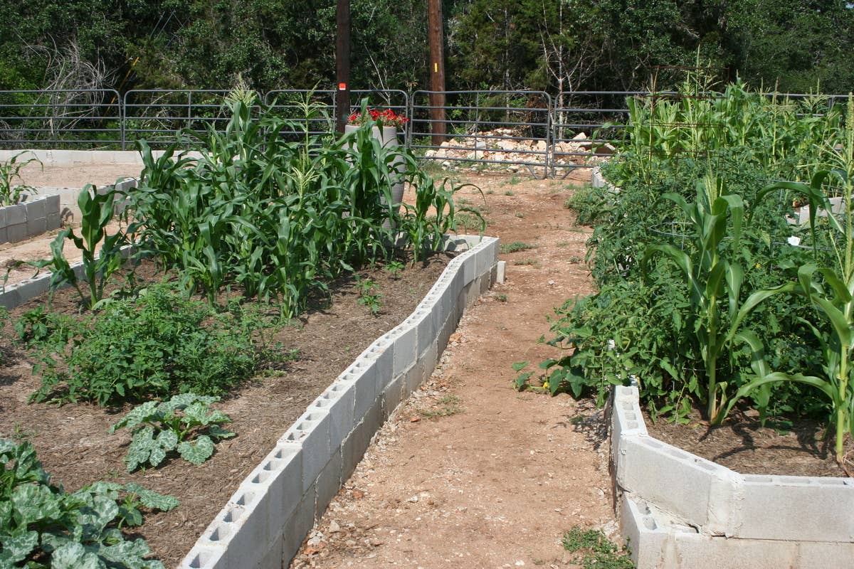 Cinder Block Planting Beds Cinder Blocks Are An Easy Way To Build