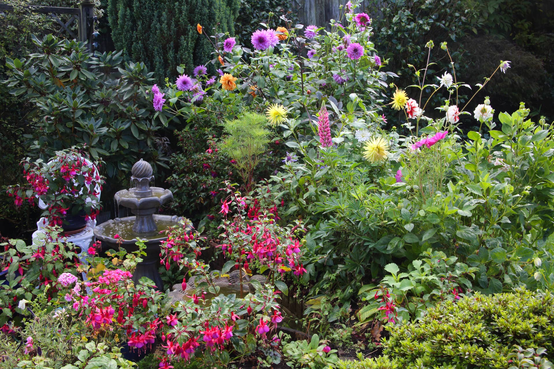 Yard Design for Birds: Ultimate Tips to Attract Feathered Friends