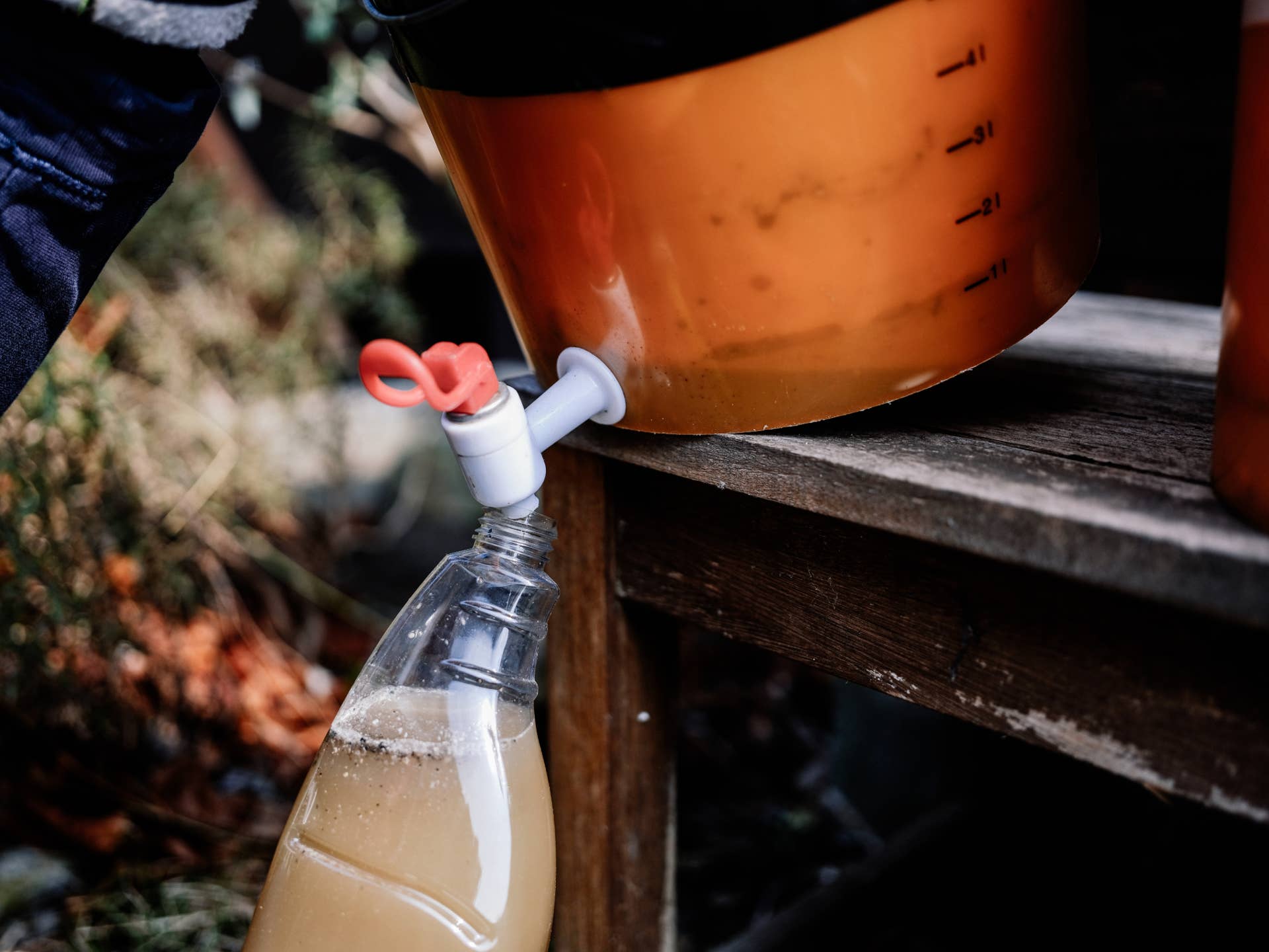 How to Make Compost Tea from Kitchen Waste: Easy & Eco-Friendly Guide