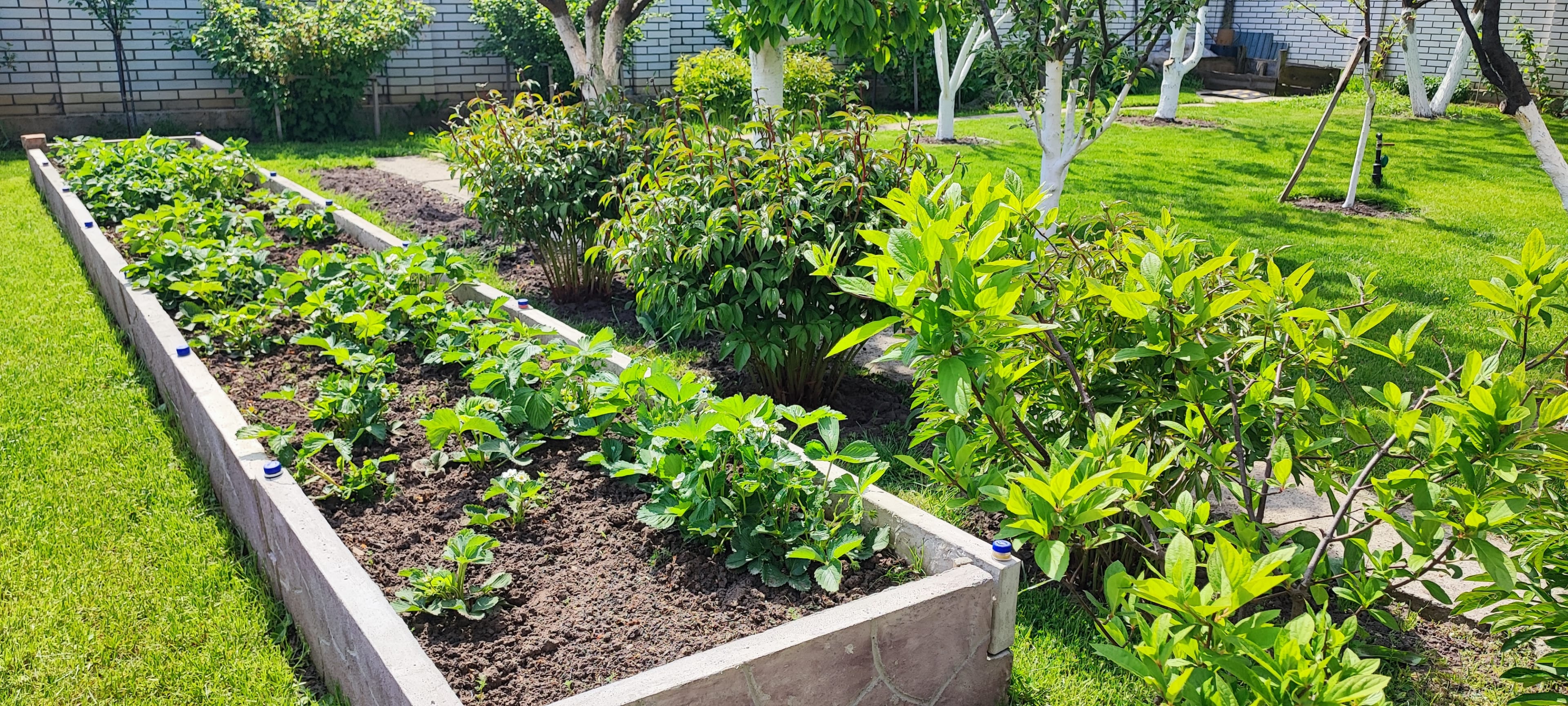 How to Start Organic Gardening at Home: Easy Steps for Success