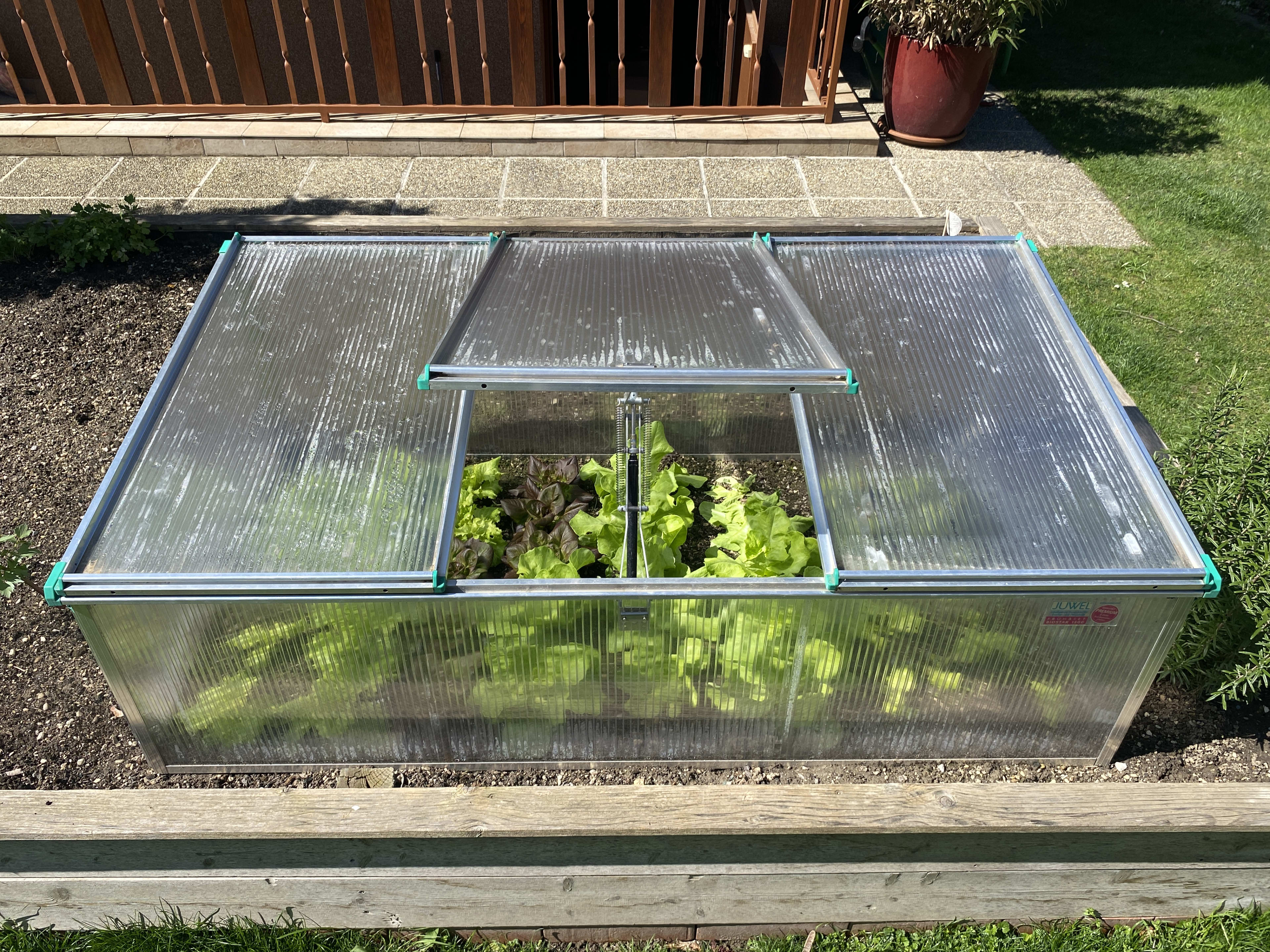 What Is A Cold Frame Garden And How To Start Your Own - Dengarden